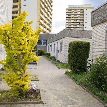 Ferienwohnung 479 Mit Schwimmbad,Sauna Und Bar In Panoramic Hohegeiss Braunlage Eksteriør billede