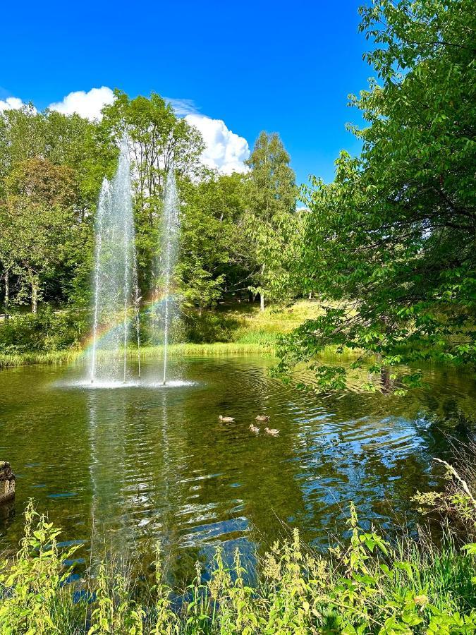 Ferienwohnung 479 Mit Schwimmbad,Sauna Und Bar In Panoramic Hohegeiss Braunlage Eksteriør billede