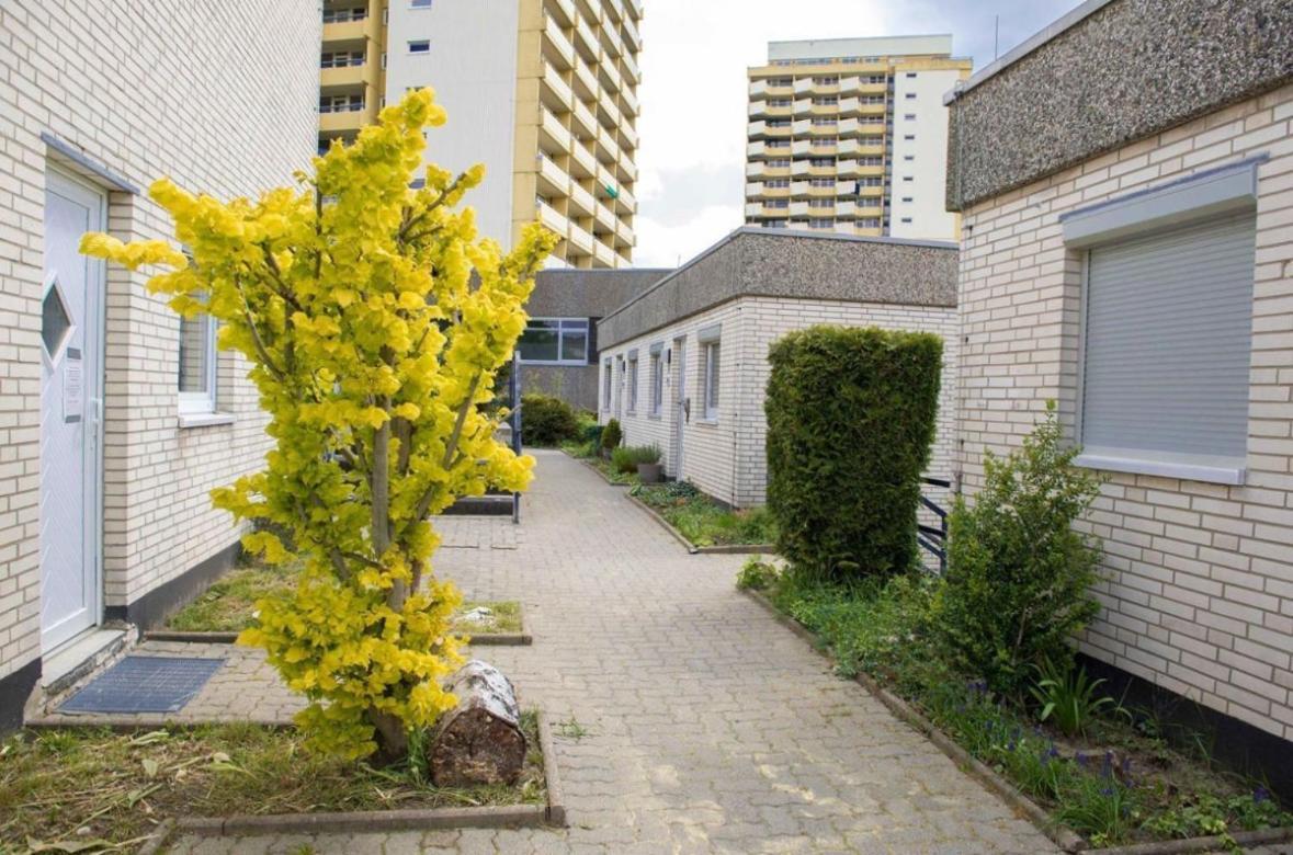 Ferienwohnung 479 Mit Schwimmbad,Sauna Und Bar In Panoramic Hohegeiss Braunlage Eksteriør billede